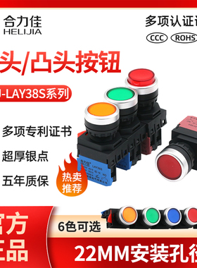 合力佳凸平头按钮LAY38S-10DS/11S带灯复位自锁开关220v24v红绿色