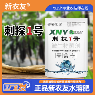 刺探1号刺炭微生物菌剂炭疽疮痂抑菌治菌葡萄辣椒西红柿营养肥