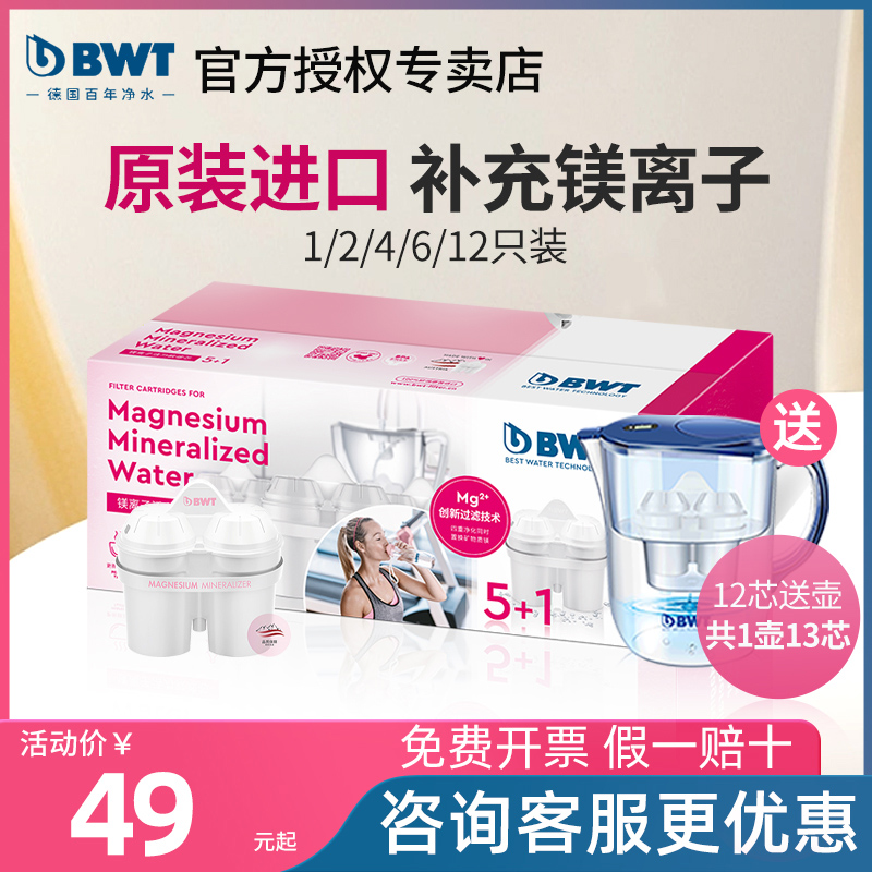 世净水壶滤芯原装进口家用bwt