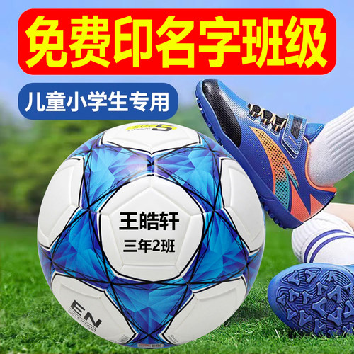 5号足球小学生专用球儿童4号中考