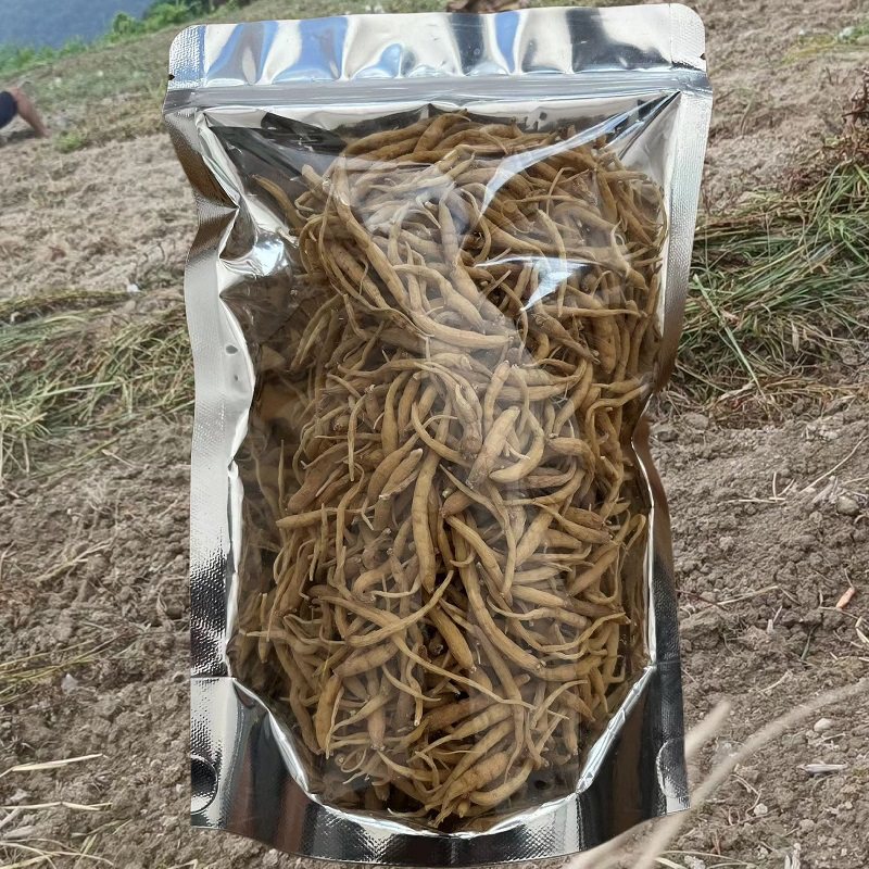 贵州特产黄平施秉正宗太子参高山非野生孩儿参无硫煲汤童参250克