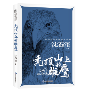 雄鹰 秃顶山上 动物小说大师珍藏系列小学生三四五六年级课外阅读书籍青少年儿童必读名著故事书 沈石溪新书