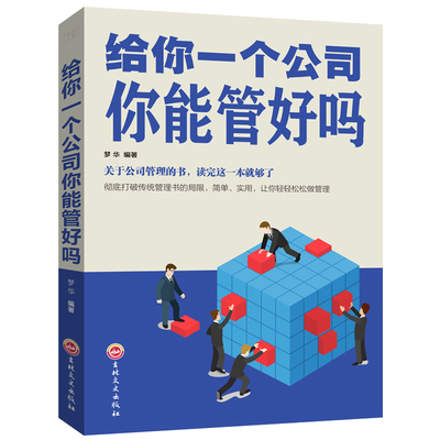 给你一个公司 你能管好吗 平装 商业企业公司经营管理书籍 团队组建 企业战略 决策制定 市场营销 企业文化等管理方面讲解