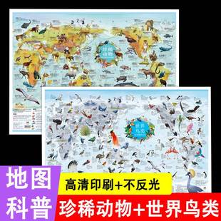 全两张珍稀动物地图和世界鸟类地图挂图儿童房墙面装饰小学生初中生专用大小尺寸地图地理图册百科知识儿童地理地图墙贴贴画背景墙