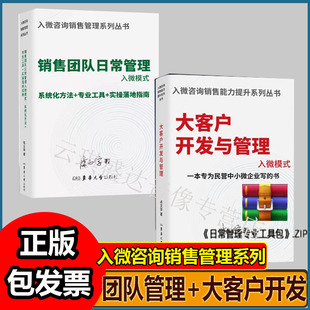 销售团队日常管理+大客户开发与管理入微模式管理难题一本搞定实操落地指南陈文学
