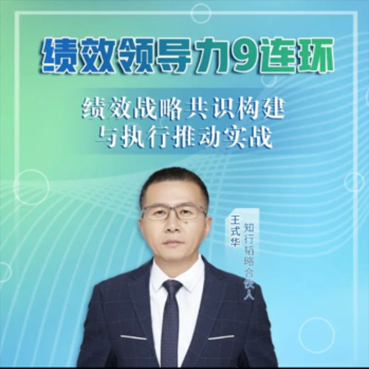 绩效领导力9连环网络视频课程非DVD 王式华前沿2