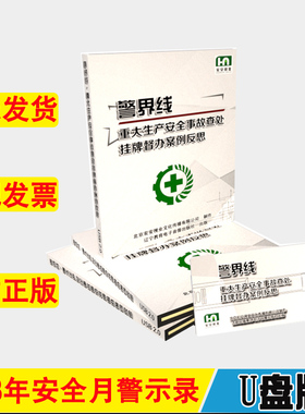 警界线重大生产安全事故查处挂牌督办案例反思2023年安全月主题片