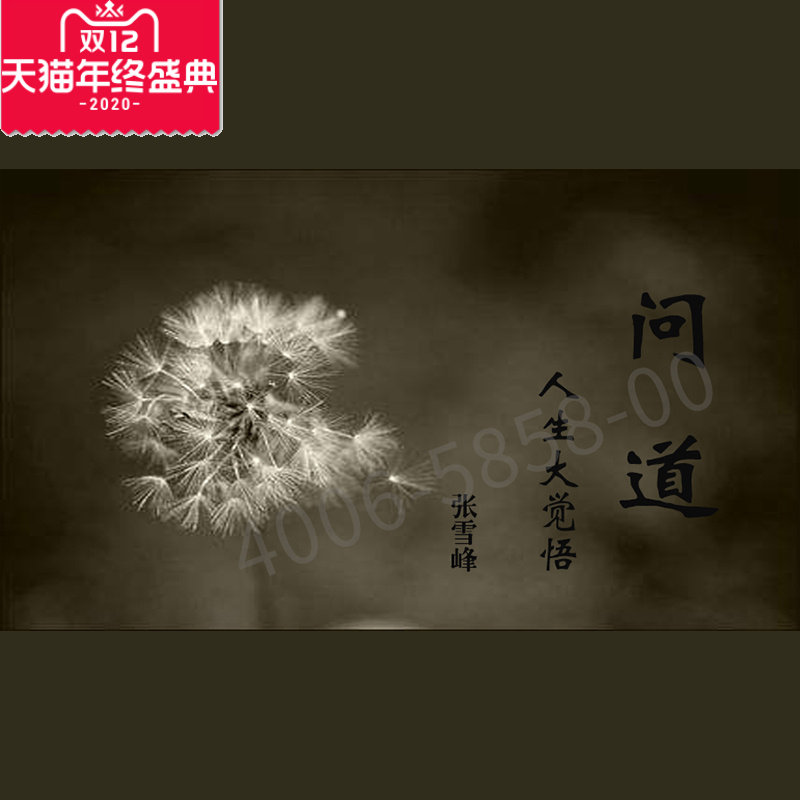 正版包票 张雪峰 问道人生大觉悟 视频课程非DVD