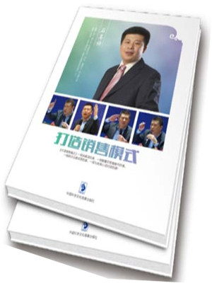 打造销售模式高管战略赢销石真语 非DVD光盘头条课程