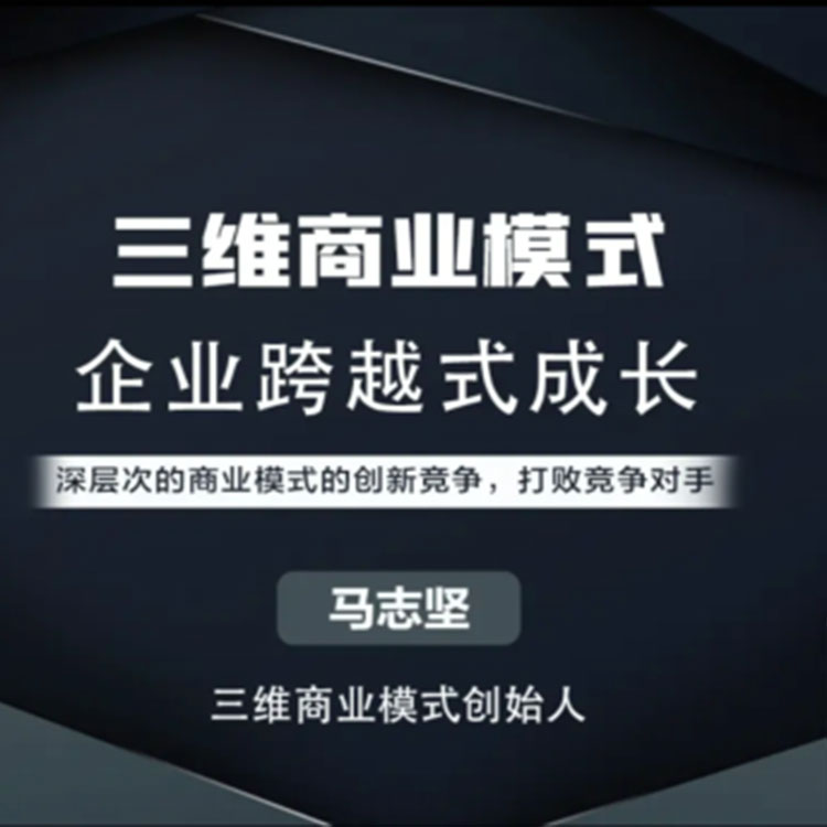 三维商业模式企业跨越式成长马志坚在线网络课程非DVD光盘5.5中智