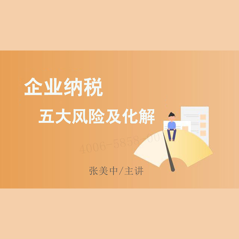 正版包票  张美中 企业纳税五大风险及化解 视频课程非DVD
