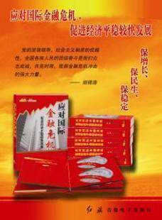 正版包发票 应对国ji金融危机促进经济平稳较快发展 10VCD - 封面
