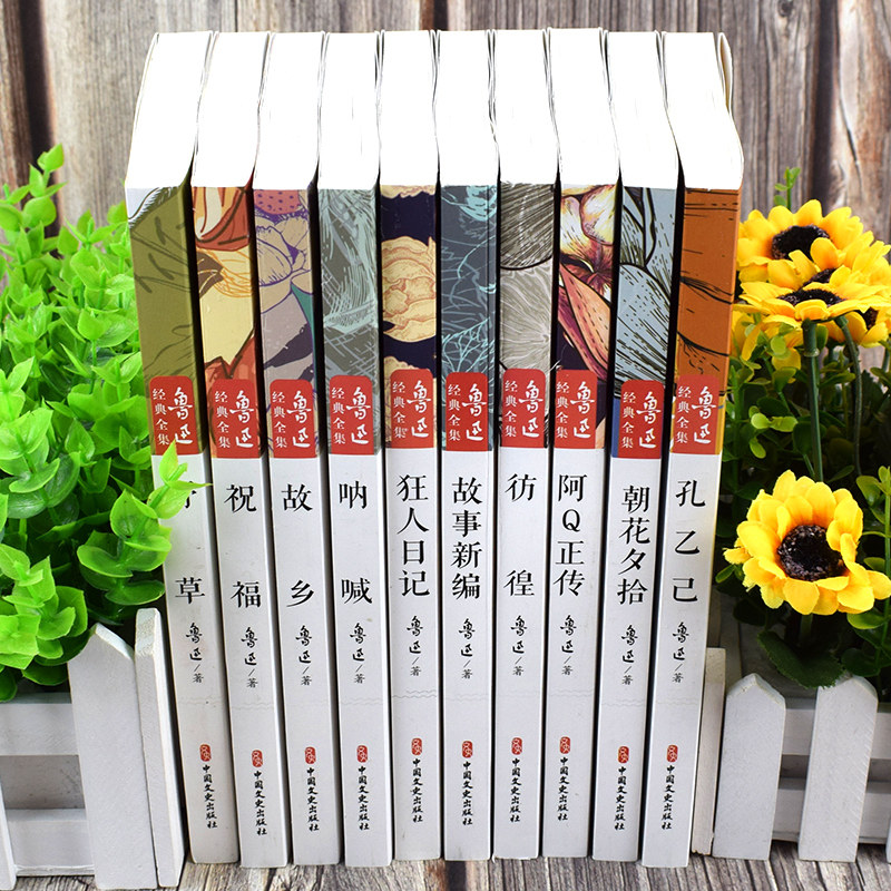 HY鲁迅集正版10册朝花夕拾鲁迅杂文集小说集散文集呐喊彷徨野草鲁迅的书套故乡故事新编狂人日记阿q正传文学书籍