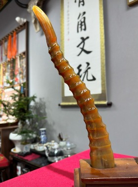 藏式天然蒙古羊角高端实心尖把件