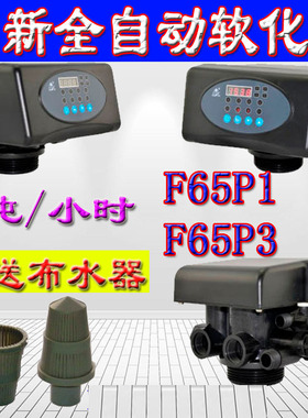 润新自动软化阀F65B1P1时间流量型工业水处理控制F63P3C1树脂罐阀