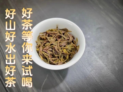 喝特级古树单枞茶的朋友可以试试