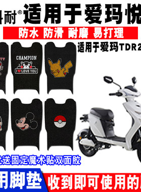 适用于爱玛悦鹰新国标电动车脚垫 TDR2112Z丝圈脚踏防水防滑耐磨
