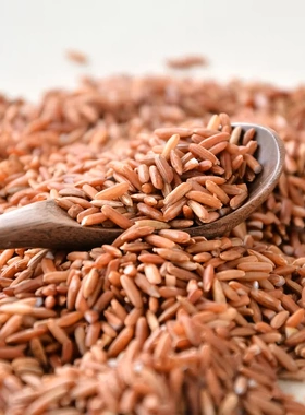 熟红米打豆浆烘焙炒熟红米红糙米粳米血稻米红香米红色大米磨粉用