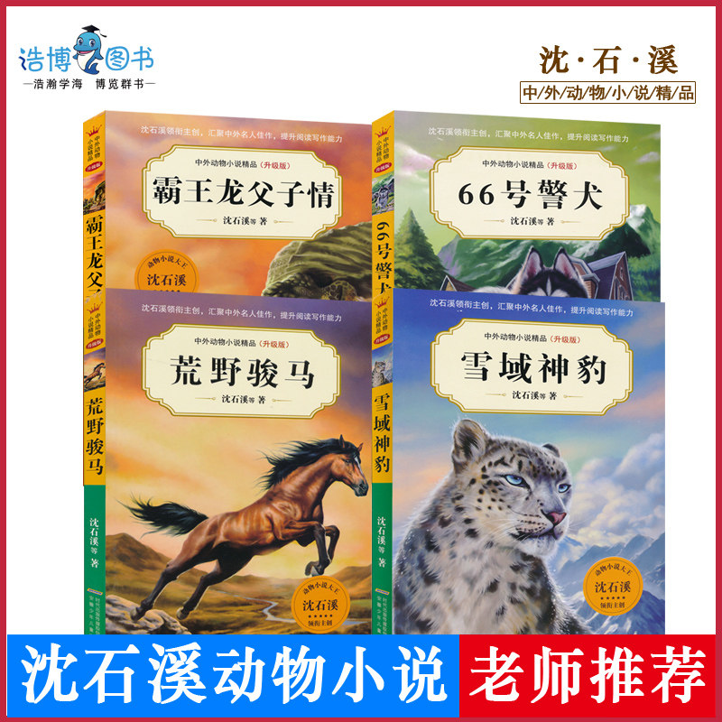 套装4本沈石溪中外动物小说精品系列升级版全套4册66号警犬霸王龙父子情荒野骏马雪域神豹中小学生课外书读物系列寒假必读JF