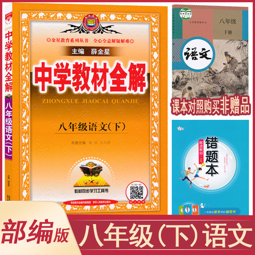 八年级下册语文全解人教版初二下8年级下册薛金星中学教材全解同步讲解练习教辅练习课后答案工具书JF - 封面