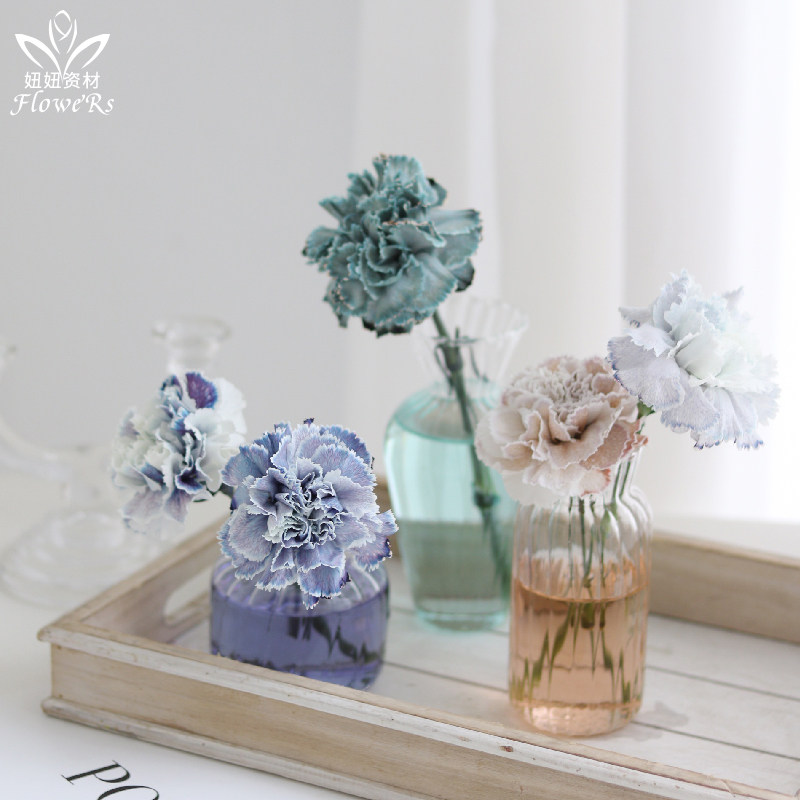 鲜花染色剂 图片 价格 多少钱 什么值得买