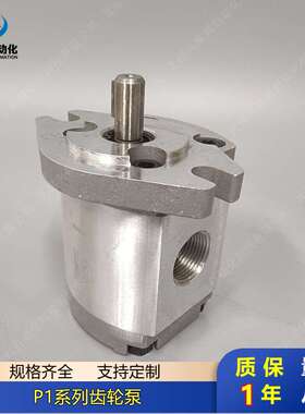定量齿轮泵P101RP01G P102RP01G P127RP01G P135RP01G P104RP01G