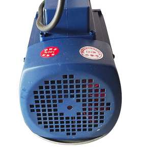 供应增压泵WCB便携式 750W电动抽油泵自吸泵柴油泵油泵厂家 齿轮泵