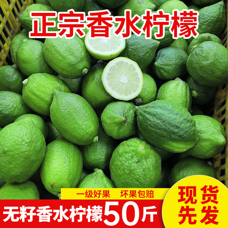 批发专用50斤装广东香水柠檬