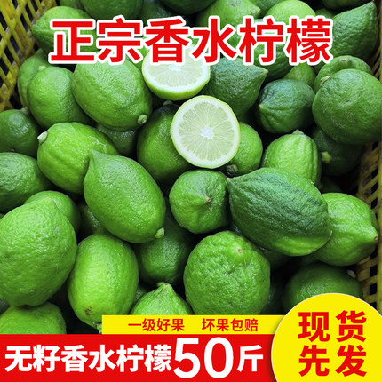 批发专用50斤装广东香水柠檬新鲜青柠檬无籽现摘水果奶茶店同款