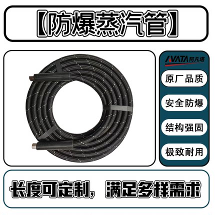 阿凡塔高温高压蒸汽清洗机防爆蒸汽管