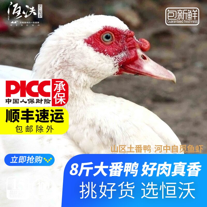 恒沃红脸番鸭农家散养老鸭子山间散养土鸭新鲜大麻鸭整只