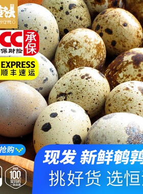 新鲜鹌鹑蛋生的52只恒沃散养精品美味营养辅食顺丰包邮卤鹌鹑鸟蛋
