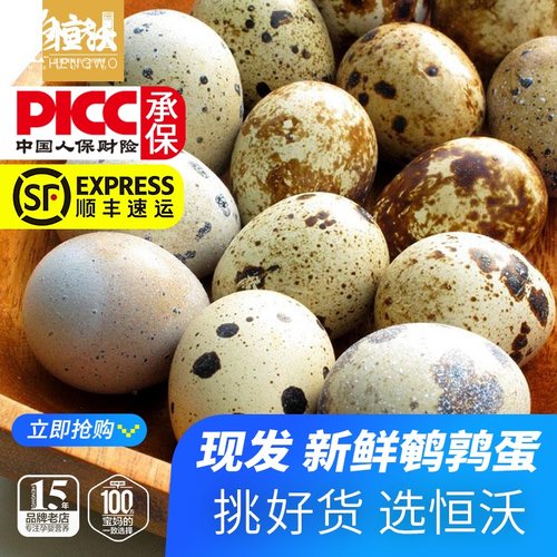 散养精品新鲜鹌鹑蛋营养美味鸟蛋