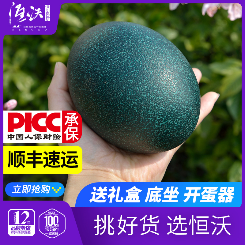 精品鸸鹋蛋巨新鲜澳洲大墨绿色鸵鸟蛋食用圣诞节送礼物元旦顺丰