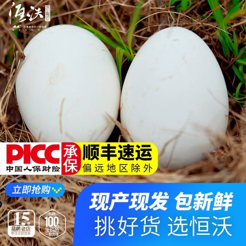 农家散养鹅蛋12枚恒沃优选