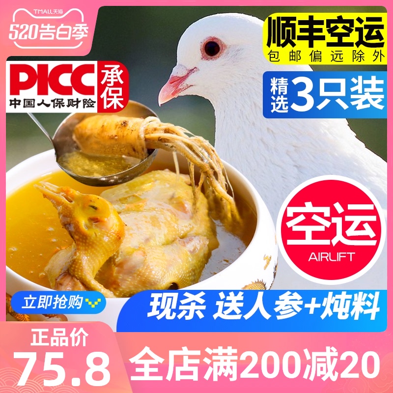 顺丰空运新鲜土鸽子3只烤乳鸽农家散养土鸽子活体现杀鸽子肉生鲜