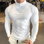 秋季 T恤针织衫 新款 运动健身上衣跑步训练长袖 立领 男士 2025年