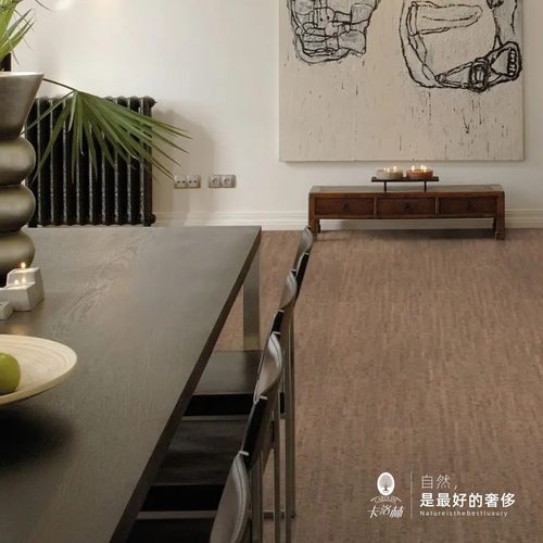 卡洛林_葡萄牙原装进口 软木地板 粘贴 地暖客厅防滑环保 PC8210