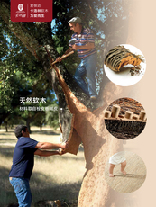 Звукоизоляционное покрытие для пола 卡洛林软木地板葡萄牙原装进口别墅地暖地板石砖纹防潮粘贴恒温