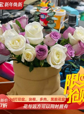 麻布袋网红趣味桌面绿植花盆3d打印pla龙舌兰块根仙人球肉肉花器