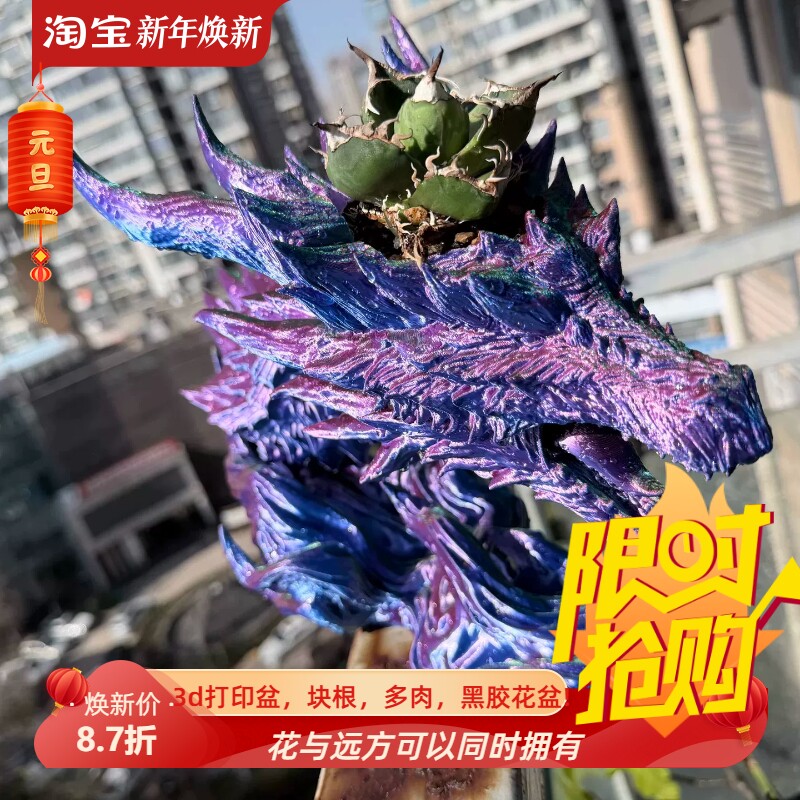 飞龙在天带底座鹿角蕨3d打印桌面定植盆块根仙人球龙舌兰家用花盆