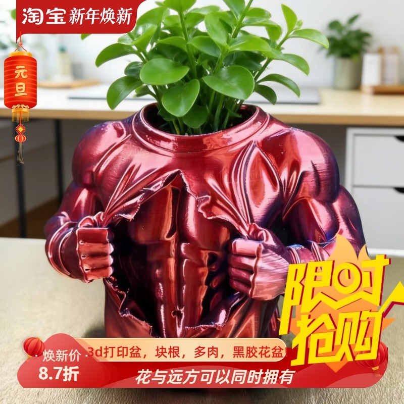 创意撕破卫衣肌肉男加厚大口径多肉龙舌兰块根仙人球3d打印桌面盆,鲜花速递/花卉仿真/绿植园艺,花盆,淘宝优惠券,粉丝福利购,淘宝优惠卷