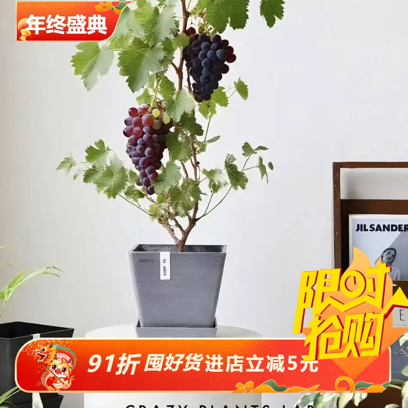 simpots日本黑胶盆国际方盆20-50ins风卧室客厅热植绿植抗粉化盆