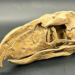 恐鹤头骨化石头骨3d打印桌面家居饰品鱼缸造景摆件送朋友礼物