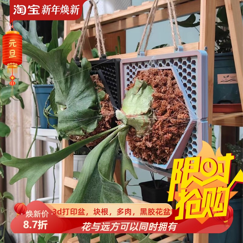 方形鹿角蕨定植板透气洞洞板3d打印pla,petg绿植上墙定植用鹿角板图片