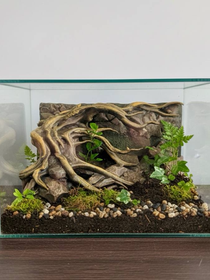 19*16*19老树陆地缸雨林缸背景板爬宠草缸3d打印丰荣道具图片