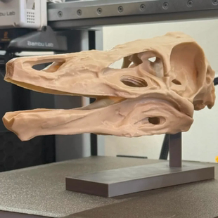 似鸟龙头骨化石复制品3d打印桌面家居饰品鱼缸造景摆件送朋友礼物