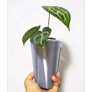 加高版青山盆透气盆热植花烛秋海棠多肉桌面盆块根多肉3d打印花盆