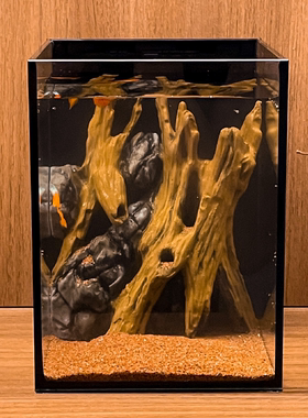 热带树木石头墙壁背景墙躲避屋3d打印造景守宫乌龟角蛙黄缘爬宠用