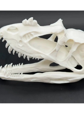 异特龙化石3d打印ins爬宠沙漠缸陆缸场景道具摆件家居氛围道具